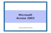 Introduccion Access 2003