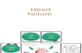 Heart Failure Therapy