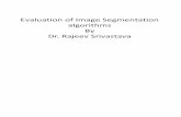 Evaluation of Image Segmentation Algorithm1