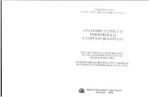 Documents.tips Victor Nimigean Anatomie Clinica Si Topografica a Capului Si Gatului