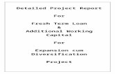 Detailed Project Report Format