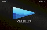 Manual Sony Vegas Pro12. en Español