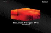 Sound Forge 11 Manual