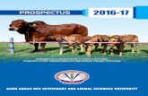 Prospectus 2016-17-2