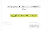 Globus Main Project
