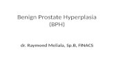 Benign Prostate Hyperplasia Reva