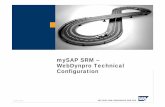 MySAP SRM WebDynpro Technical Configuration