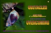 Obstacles Are for Overcoming