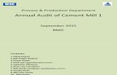 Annual Audit of CM 1