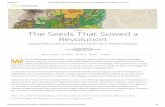 The Seeds That Sowed a Revolution - Issue 10_ Mergers & Acquisitions - Nautilus