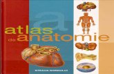 atlas DE Anatomiie.pdf