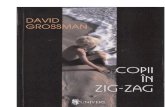David Grossman - Copii in Zig-zag AC