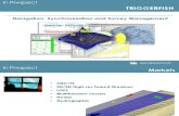 TRIGGERFISH Tech Overview March 2013