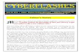 Mountain View College Cyberflashes