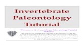 Invertebrate Paleontology Tutorial.doc