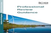 Professional Review Guidance Document