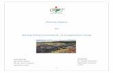 Elective Report - Mining Versus Environmental Laws Scenario Worldwide - Savita