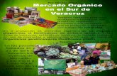 Nota de Mercado Organico