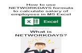 How to Use NETWORKDAYS Formula to Calculate Salary of Employees in MS Excel_Sofia B_Precision Minister