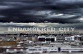 Endangered City by Austin Zeiderman