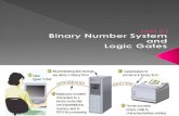 02. Binary Number System