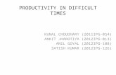 Productivity in Difficult Times