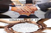 Multi-cultural Team Management