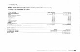 Financial records from Miami Foundation.pdf