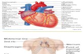 SCIT 1408 Applied Human Anatomy and Physiology II - Heart Chapter 18 A
