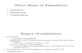 BIOL 3301 - Genetics Ch14- Translation and Mutation 08 St