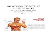 Bhn Anatomi Tractus Digestivus 2010