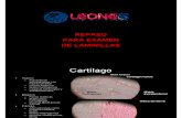 100 Seguro en Laminillas (histologia)
