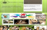 Bienestar Animal (veterinaria)