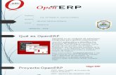 Open ERP wSanchez
