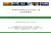 Introducion a GAMS