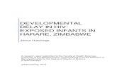 Developmental Delay in HIV-Exposed Infants in Harare Zimbabwe