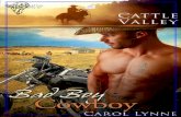 07 - Cowboy Bad Boy