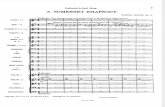 IMSLP20568-PMLP47826-Holst - A Somerset Rhapsody Op. 21 Orch. Score -2