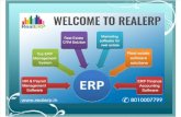 Realerp Software Solution