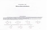 Biochem 22 [Nucleotides]