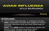 New Flu Burung