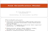 Risk Stratification Model.pptx