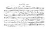 Franz Schubert - Piano Sonata in E D 157 (4)