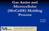 Gas Assist and Microcellular (MuCell) Molding.pdf