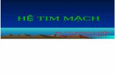 He Tim Mach 1479