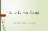 Rinitis Non Alergi