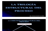 trilogaestructuraldelproceso MB.pdf