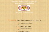 Mini Neurological Examination