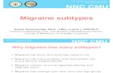 Migraine Subtype