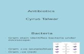 Antibiotics Presentation